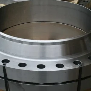 Forged Flanges